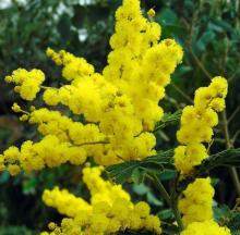 [site:name] - [node:title]