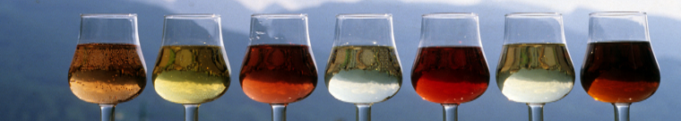 Elenchi dei tecnici ed esperti degustatori vini a DOC - Camera di Commercio di Trento Elenchi dei tecnici ed esperti degustatori vini a DOC - Camera di Commercio di Trento