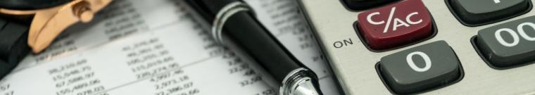 diritto annuale