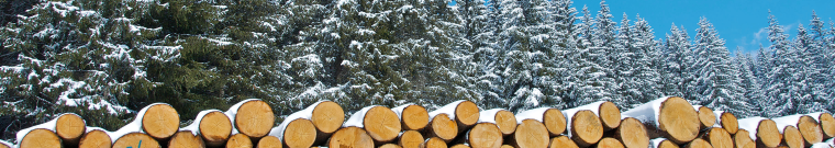 Elenco provinciale delle imprese forestali - Camera di Commercio di Trento