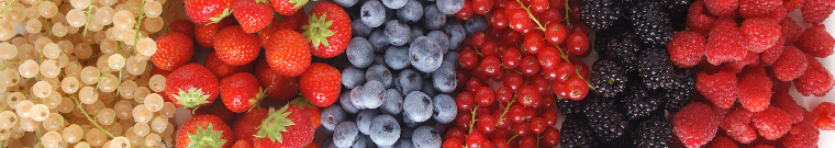 Listino prezzi della frutta trentina (mensile) - Camera di Commercio di Trento