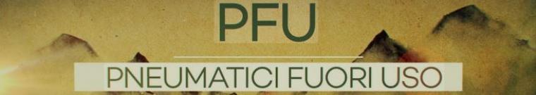 REGISTRO NAZIONALE PER LA GESTIONE DEI PNEUMATICI FUORI USO (PFU) - Camera di Commercio di Trento