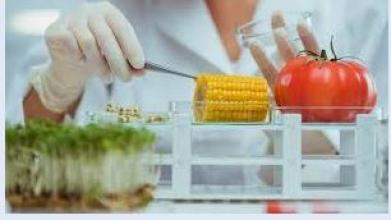 LA CERTIFICAZIONE ALIMENTARE OBBLIGHI E OPPORTUNITÀ | webinar 9.30-12.30 - Camera di Commercio di Trento