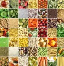 VENDERE PRODOTTI AGROALIMENTARI ALL'ESTERO | webinar - Camera di Commercio di Trento