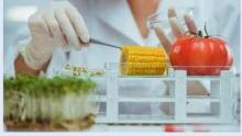LA CERTIFICAZIONE ALIMENTARE OBBLIGHI E OPPORTUNITÀ | webinar 9.30-12.30 - Camera di Commercio di Trento