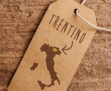 LE NOVITÀ SU DOP E IGP, MARCHI COLLETTIVI E DI CERTIFICAZIONE | incontro formativo | ore 10.00 - Camera di Commercio di Trento