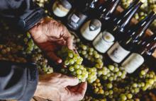 La riforma Cartabia: le novità per la mediazione - Camera di Commercio di Trento