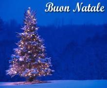 Camera di Commercio di Trento - Festività natalizie 2025