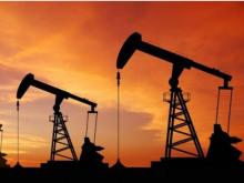 Camera di Commercio di Trento - Listino prezzi petroliferi