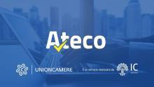 Nuova classificazione Ateco - Camera di Commercio di Trento Nuova classificazione Ateco - Camera di Commercio di Trento