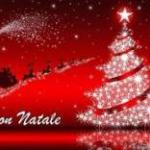 Festività natalizie: orari uffici - Camera di Commercio di Trento